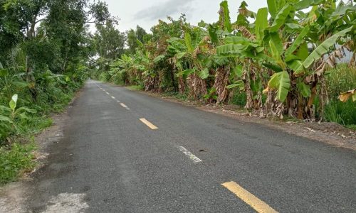 Bán nhà và đất ,Nguyễn Phích – U Minh.