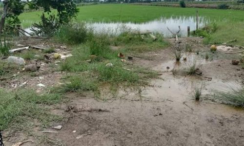 Bán đất vuông tôm