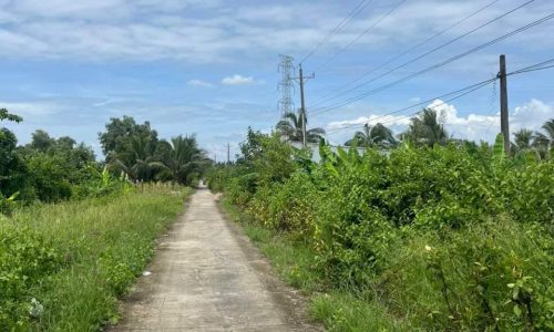 Bán Gấp Đất Vuông Tôm