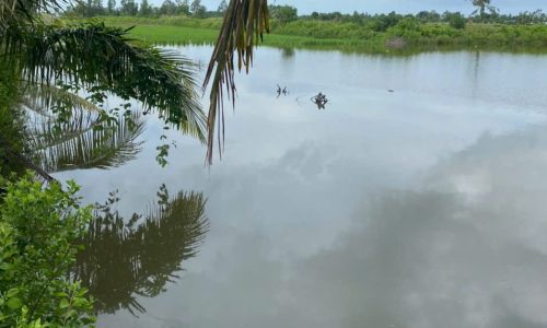 Bán Đất Vuông ấp 1 Khánh An – U Minh