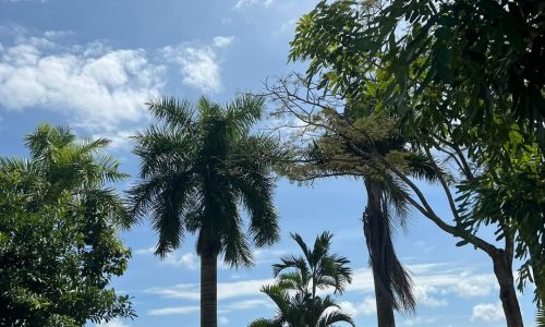 Bán biệt thự – Bạc Liêu