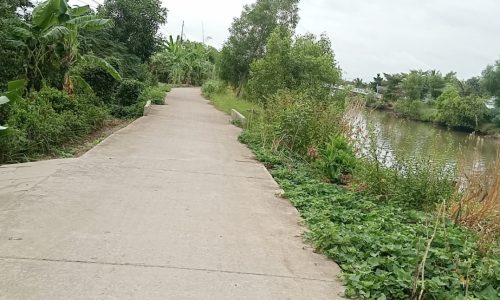 Bán DT đất 17x74m ấp Bào Bèo xã Lương Thế Trân huyện Cái Nước tỉnh Cà Mau