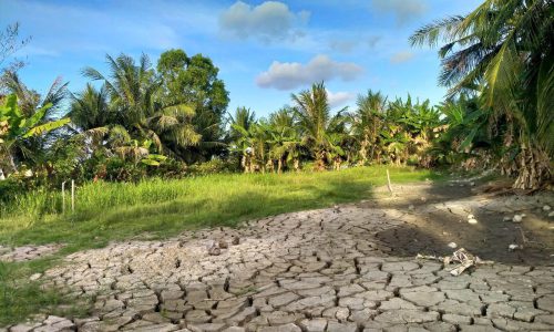 Bán Đất tại P6 trung tâm CM