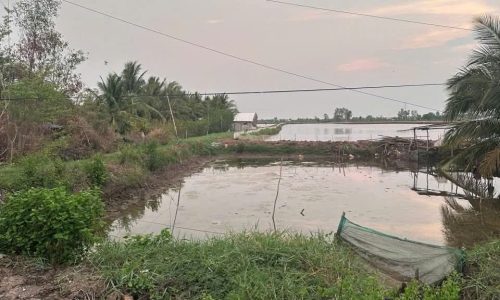 BÁN ĐẤT VUÔNG TẠI KIÊN GIANG