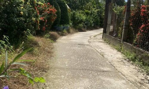 Bán nhà cấp 4 tại Vĩnh Long