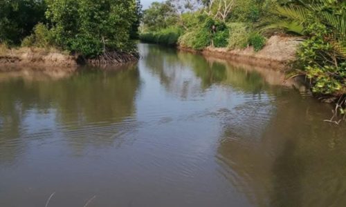 Bán đất vuông Cà Mau