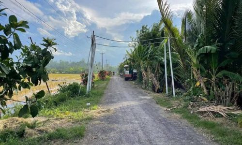 Bán đất ruộng tại Hậu Giang
