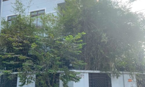 CHO THUÊ BIỆT THỰ CĂN GỐC, HIM LAM 6A, BÌNH HƯNG, BÌNH CHÁNH, TP.HỒ CHÍ MINH