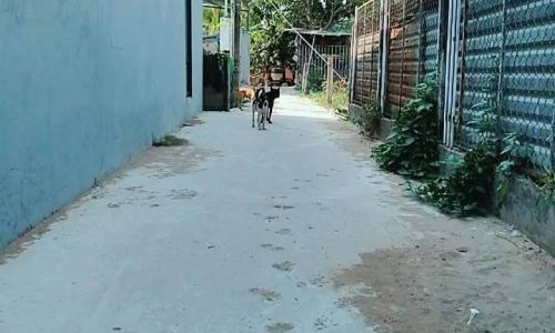 BÁN NHÀ TẠI MỸ THO