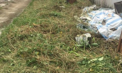 BÁN NỀN TẠI CÀ MAU