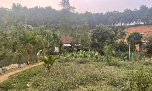 BÁN ĐẤT TẠI PHÚ THỌ