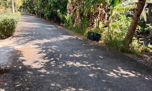 Bán nhà tại Đồng Tháp