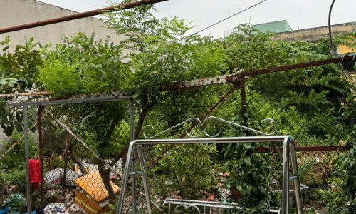 Bán đất hxh đường Lê Cơ, An Lạc, Bình Tân