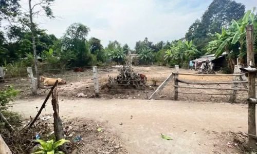 BÁN ĐẤT NỀN TẠI TRÀ VINH