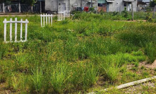 Đất cạnh KCN Phú Mỹ 3