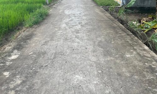 Bán đất thổ + Đất lúa tại Long An cũ