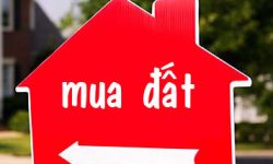 Thủ Tục Mua Đất Cho Người Mới Lần Đầu Giao Dịch – Hướng Dẫn Chi Tiết  Từ Timdatnhanh.com