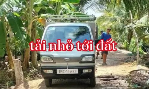 Bán vườn dừa tại Càng Long Trà Vinh