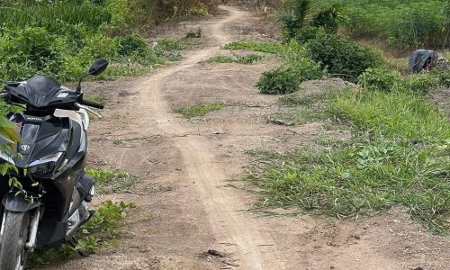 Bán đất vườn có sẵn ao cá tại Long An