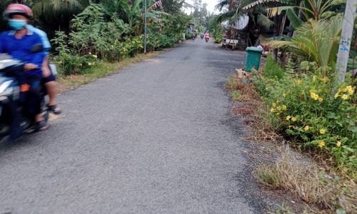 Bán đất nền tại Tân Long Hội, VLong