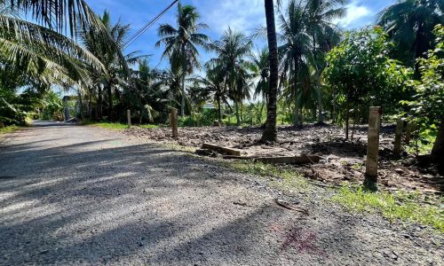 Bán 2 nền đường nhựa tại Hòa Định, Chợ Gạo cũ