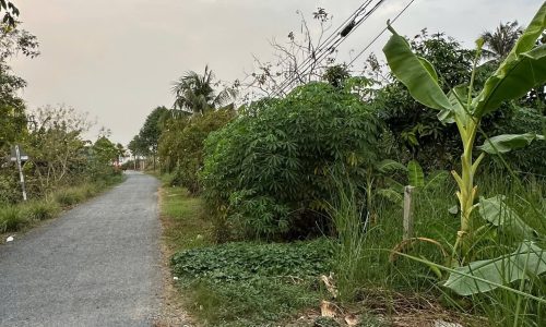 BÁN NỀN CHUẨN ĐẸP XÂY BIỆT THỰ SÂN VƯỜN TẠI VĨNH LONG