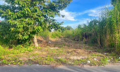 Bán nền đẹp 100m2 trục chính A2 KDC Tân Phú – Cái Răng – Cần Thơ